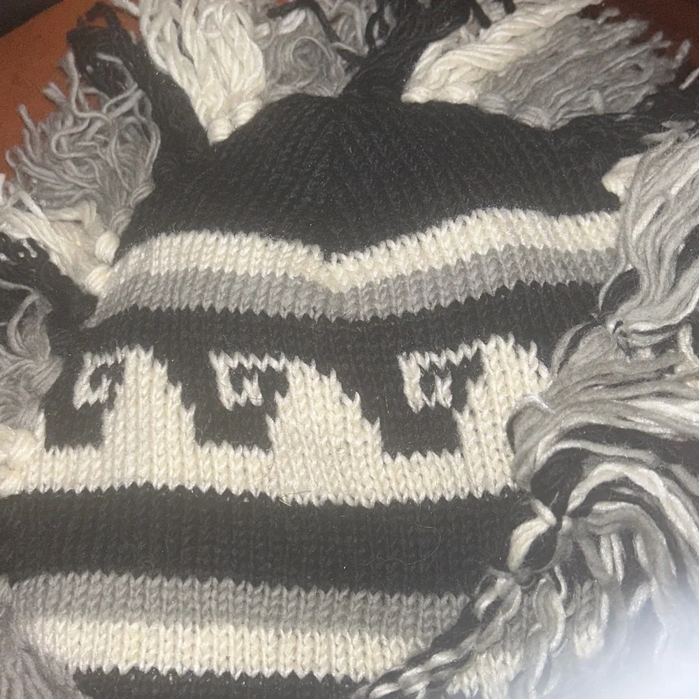 VTG City Winter USA Peruvian Knit Chullo Hat Fringe Mohawk Braided TasselsWool